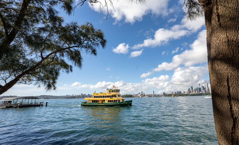 5. Cremorne Ferry DSC04104